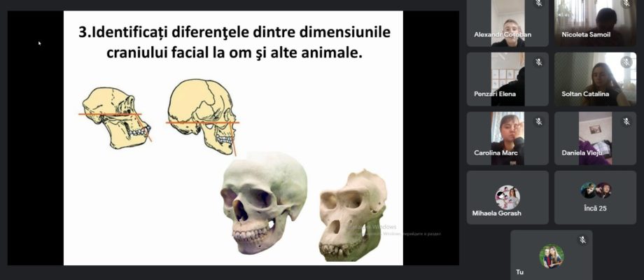 CMVEABratuseni
