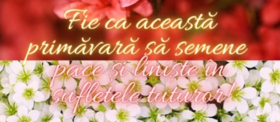 CMVEABratuseni