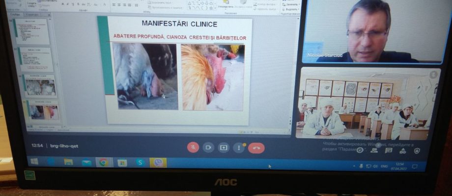 CMVEABratuseni