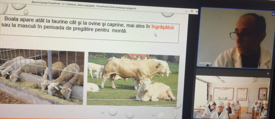 CMVEABratuseni