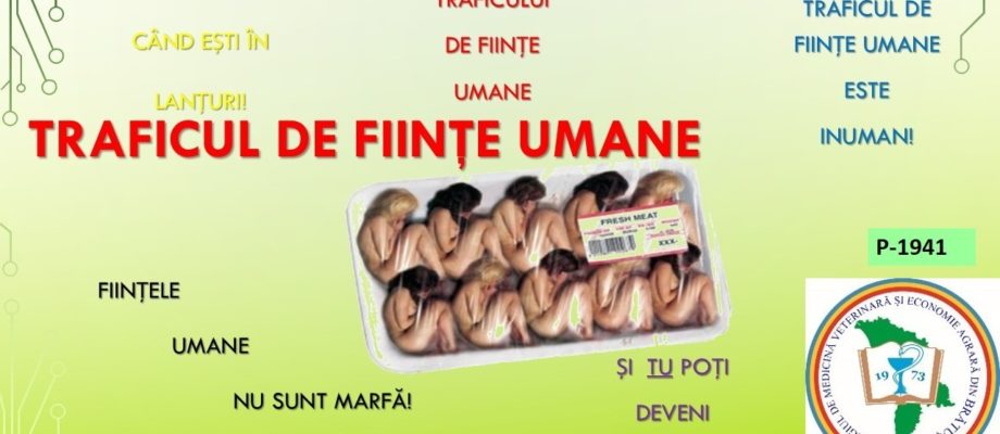 CMVEABratuseni