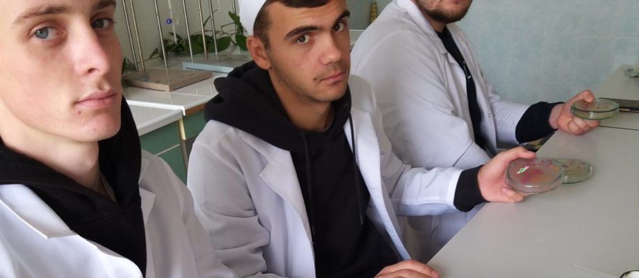 CMVEABratuseni