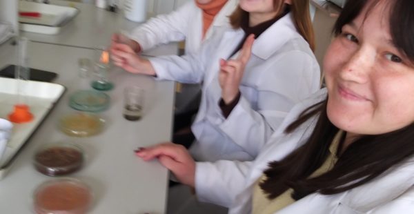 CMVEABratuseni