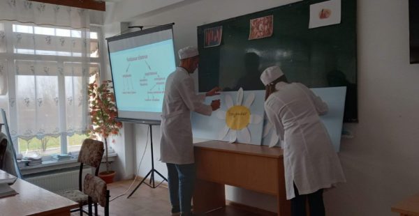 CMVEABratuseni