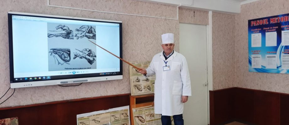CMVEABratuseni