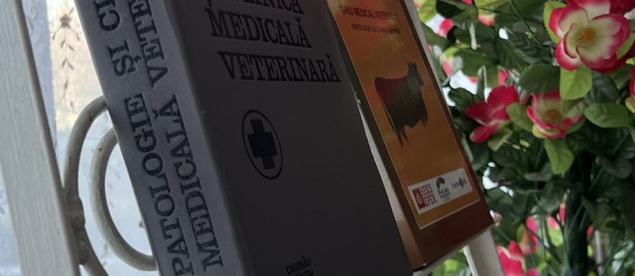 CMVEABratuseni